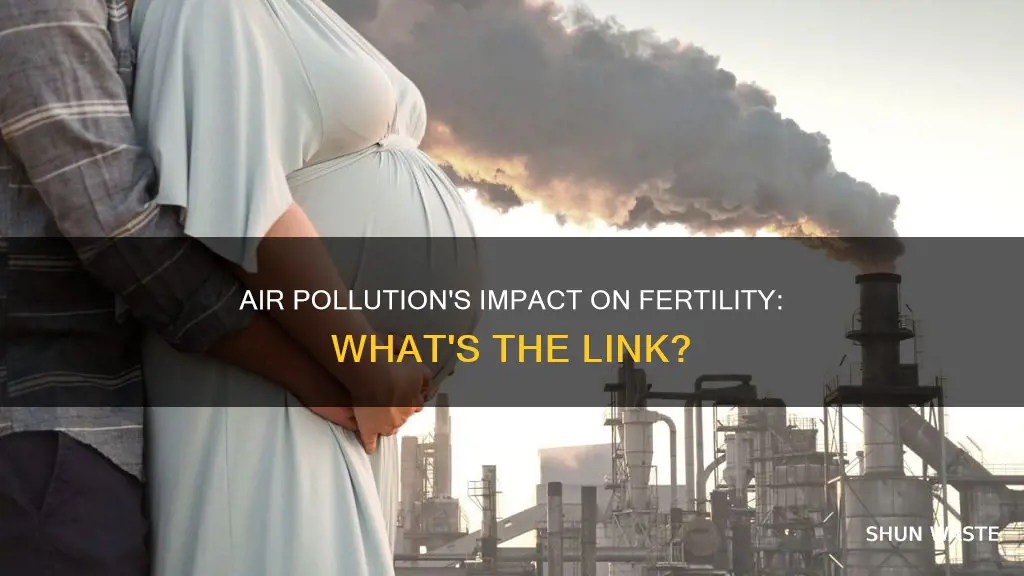 does air pollution affect fertility