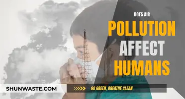 Air Pollution's Impact: Human Health at Risk