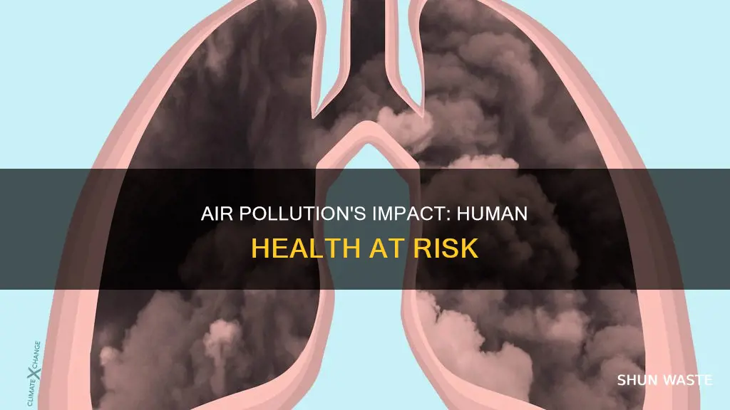 does air pollution affect humans