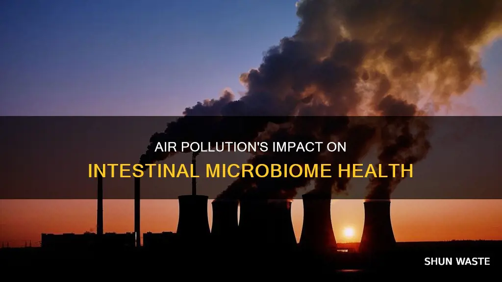 does air pollution affect intestinal microbiome