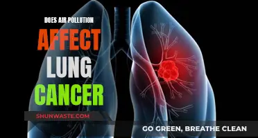 Air Pollution and Lung Cancer: What's the Link?