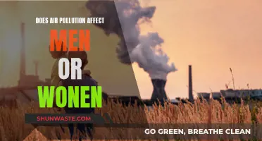 Air Pollution: Who Suffers More, Men or Women?