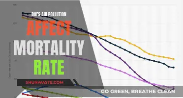 Air Pollution's Deadly Impact: Mortality Rates Revealed