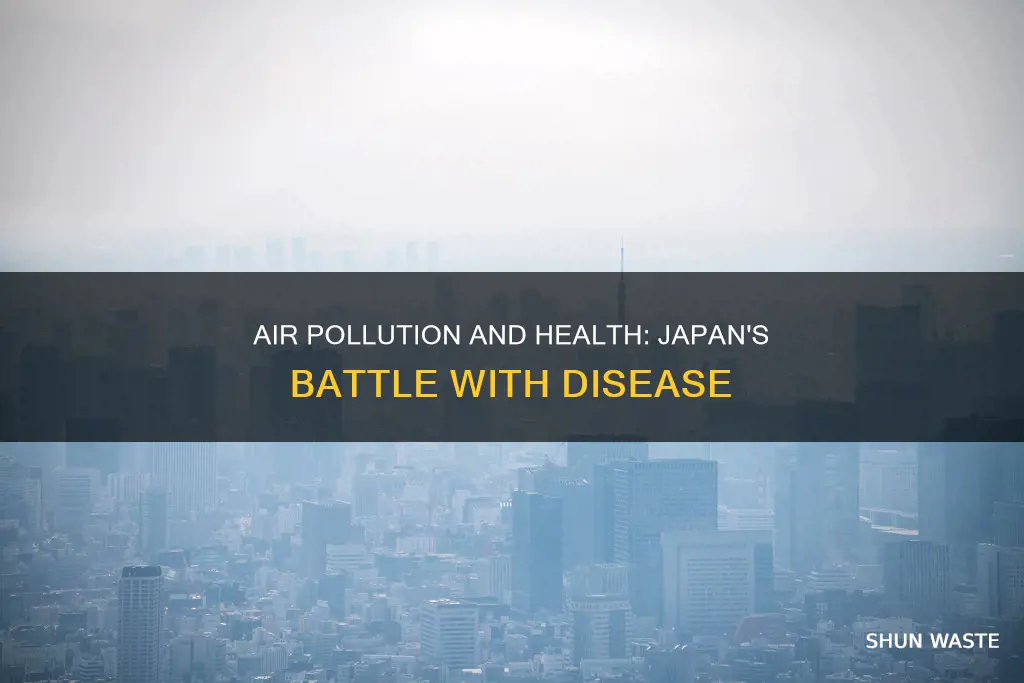 does air pollution affect people from diseases in japan