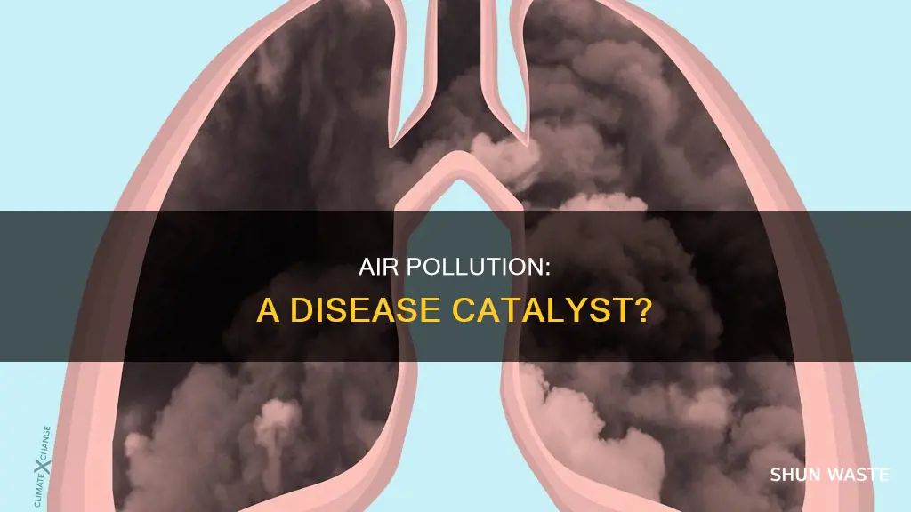 does air pollution affect people from diseases