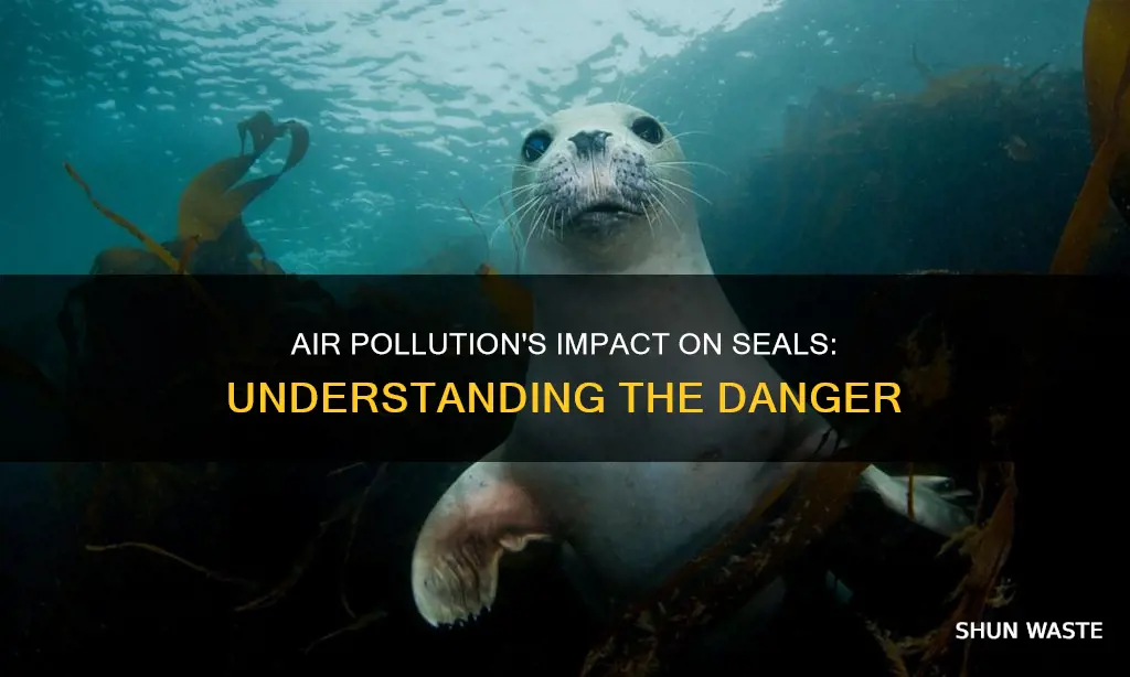 does air pollution affect seals