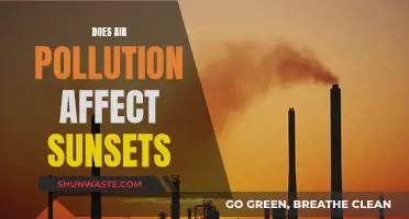 Air Pollution's Impact on Sunsets: A Visual Perspective