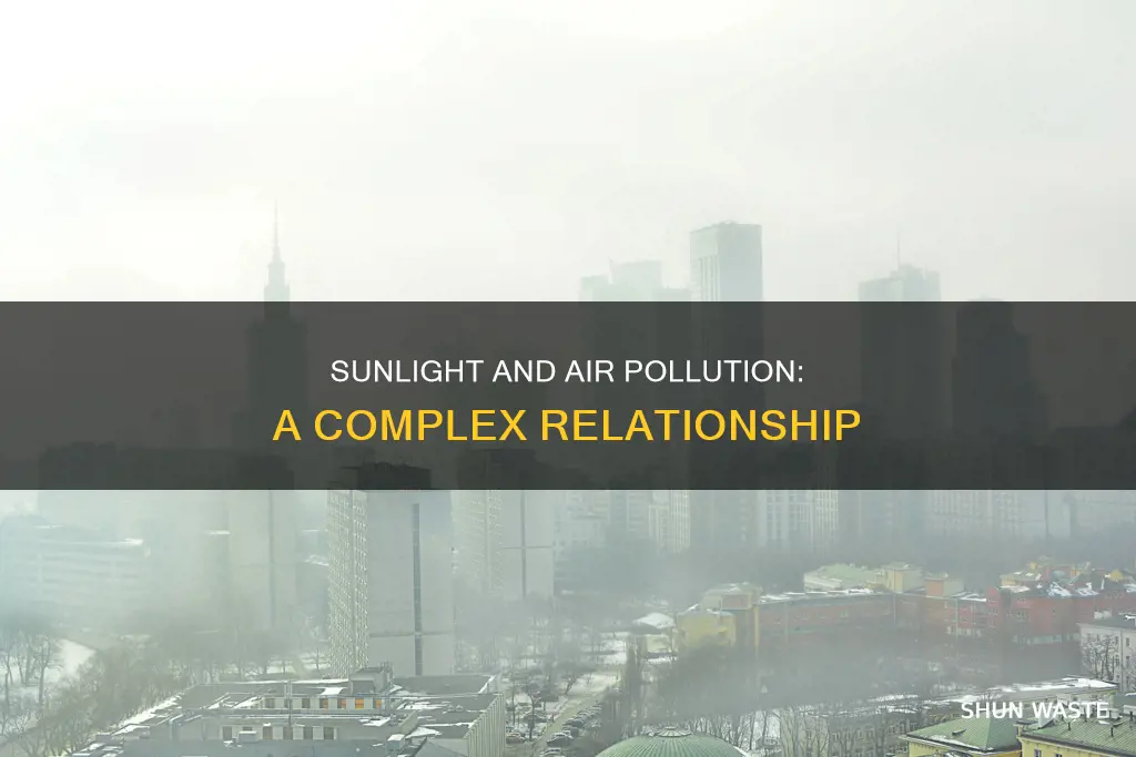 does air pollution affect the availability of sunlight