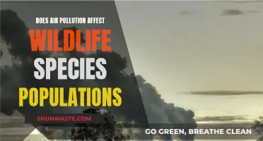 Air Pollution's Impact on Wildlife: A Population Concern