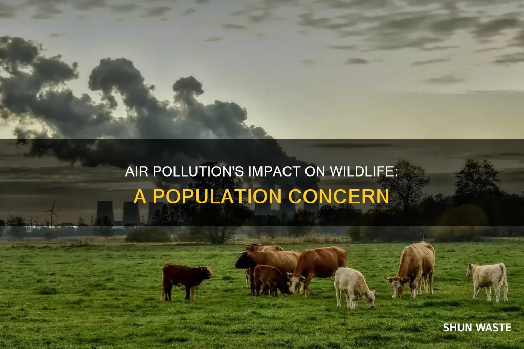 does air pollution affect wildlife species populations