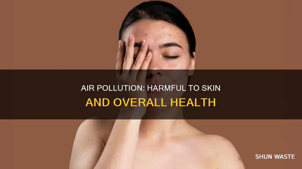 does air pollution affect your skin