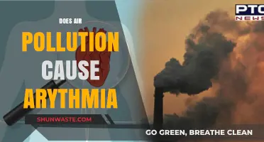 Air Pollution's Impact: Unveiling the Link to Arrhythmia