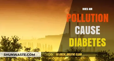 Unveiling the Link: Air Pollution and Diabetes Risk