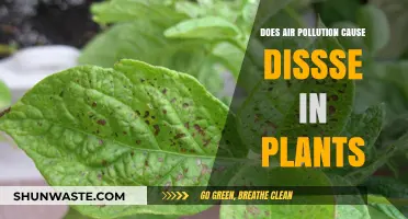 Air Pollution's Impact: Unveiling the Link to Plant Dissemination