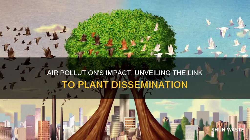 does air pollution cause dissse in plants