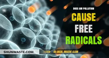 Unveiling the Link: Air Pollution and Free Radicals