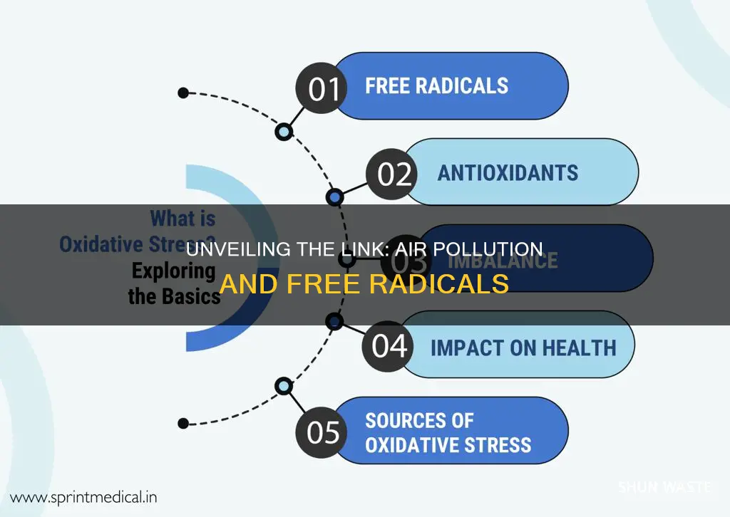 does air pollution cause free radicals