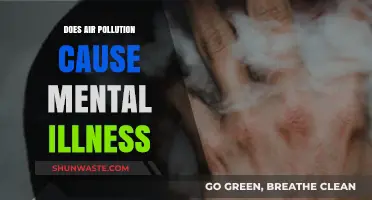 Unveiling the Link: Air Pollution and Mental Health