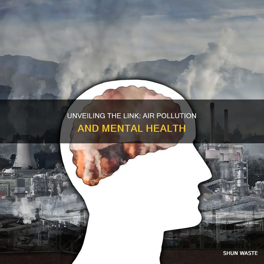 does air pollution cause mental illness