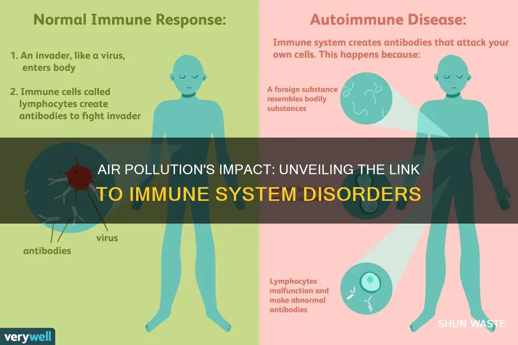 does air pollution cause problems with immune system symptoms