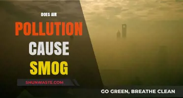 Air Pollution's Impact: Unveiling the Smog Mystery