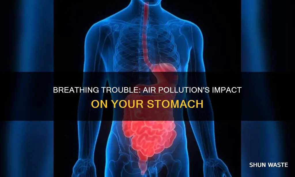 does air pollution cause stomach problems