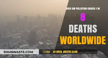 Air Pollution: A Global Health Crisis Linked to 1 in 8 Deaths