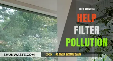 Airmega: Effective Pollution Solution?