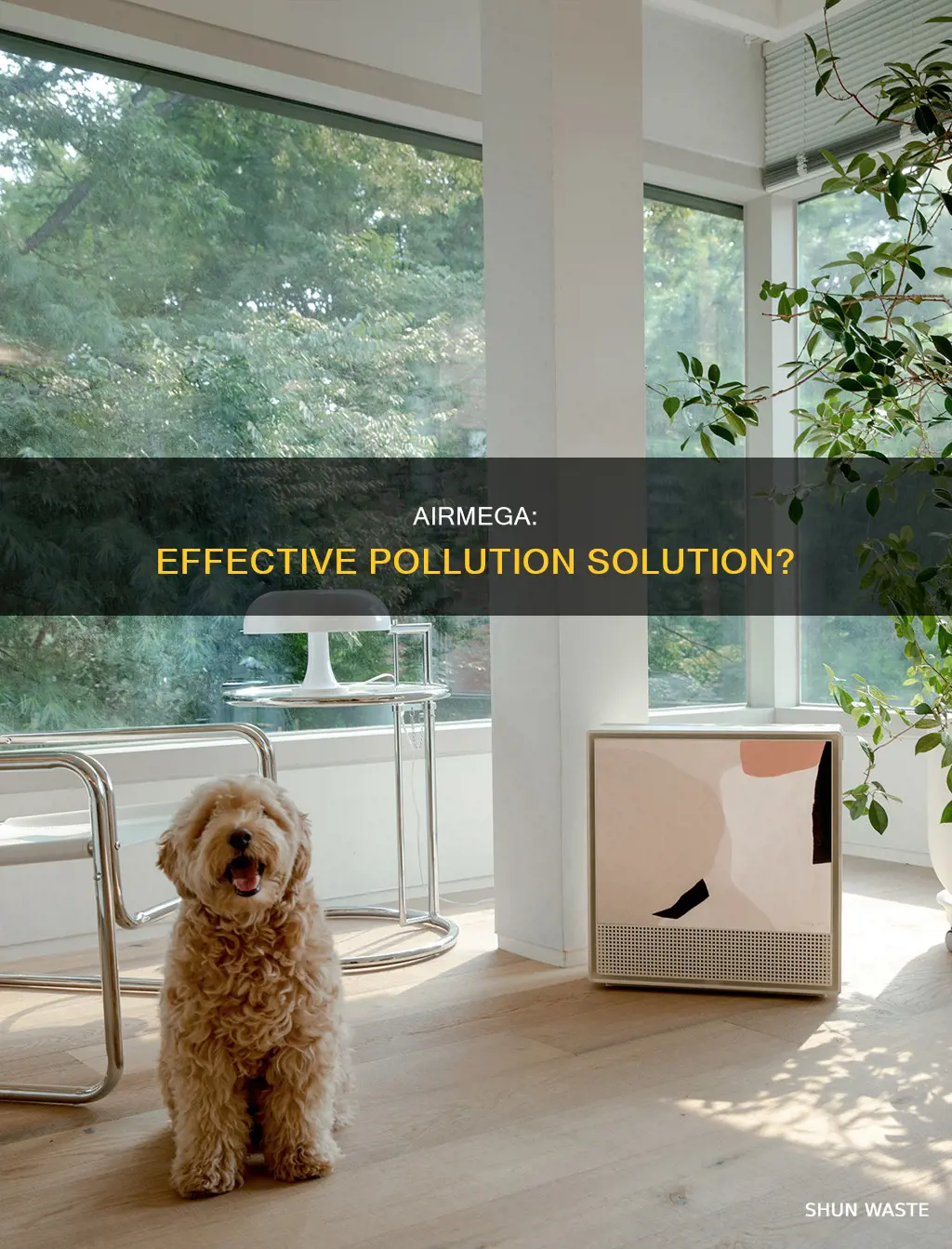 does airmega help filter pollution