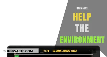 How AJAX Technology Contributes to Environmental Sustainability and Green Initiatives