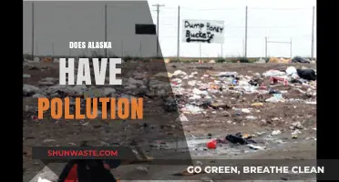 Alaska's Pollution: A Growing Concern?
