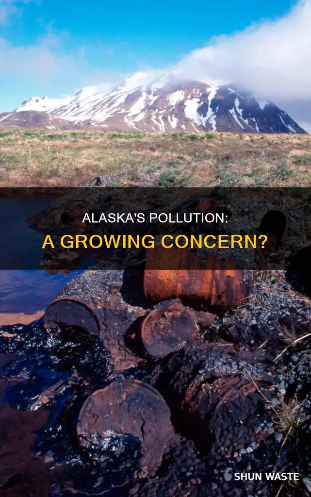 does alaska have pollution