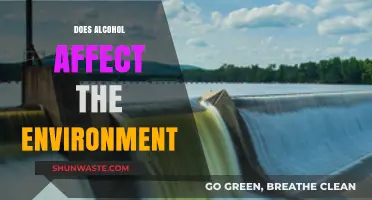Alcohol's Environmental Impact: Uncovering the Hidden Costs of Consumption