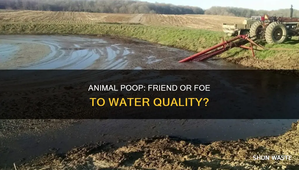 does all animal poop cause water pollution