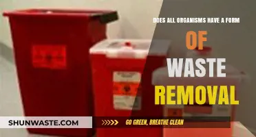 Waste Removal in Organisms: Universal Processes Across All Life Forms?