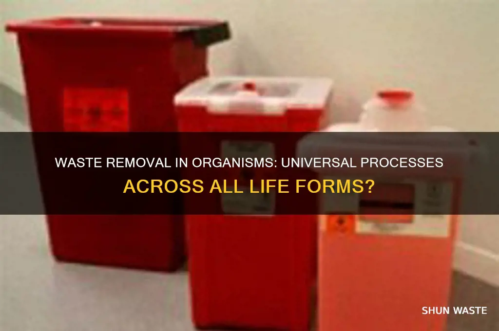 does all organisms have a form of waste removal