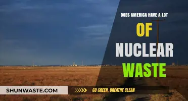 America's Nuclear Waste Crisis: How Much Is Too Much?