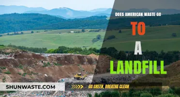 Where Does American Waste End Up? Landfills and Beyond Explained