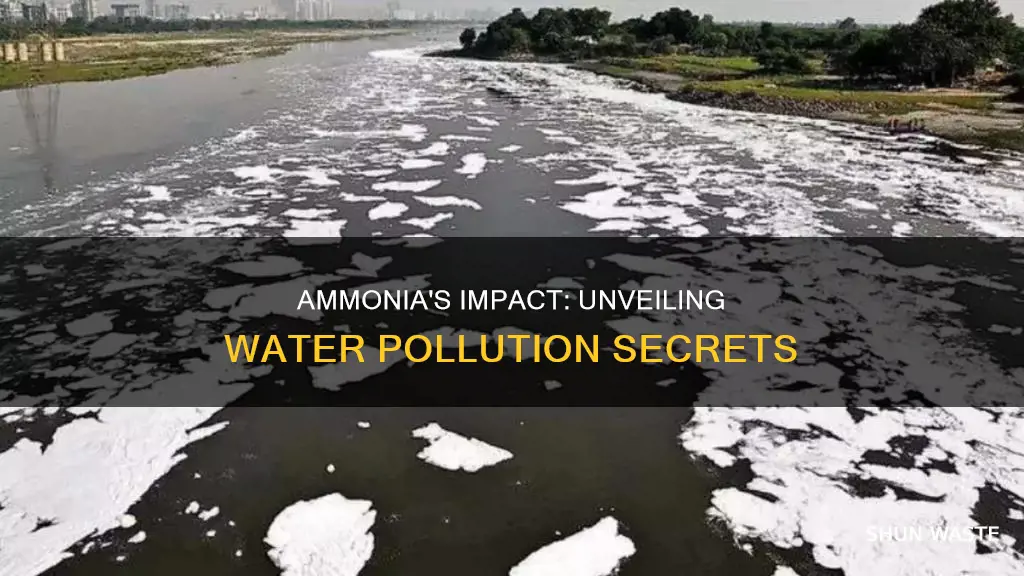 does ammonia cause water pollution