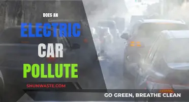Electric Cars: Pollution-Free or Not?