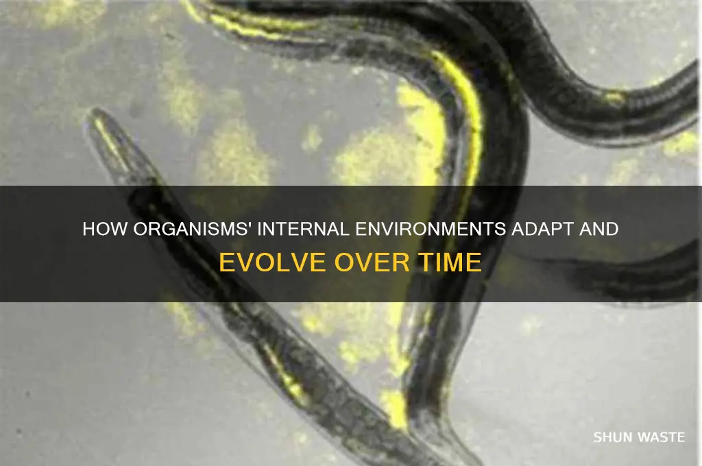 does an organism