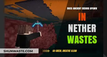 Ancient Debris Spawning Secrets in Nether Wastes: A Minecraft Guide