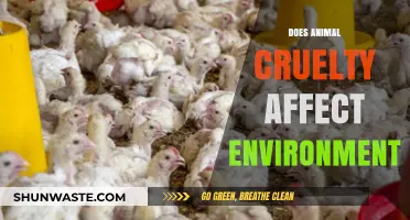 Animal Cruelty's Hidden Impact: How It Harms Our Environment