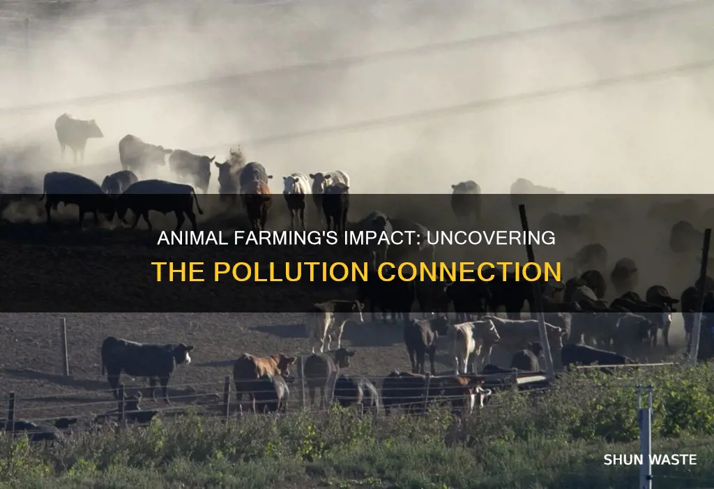 does animal farming cause pollution