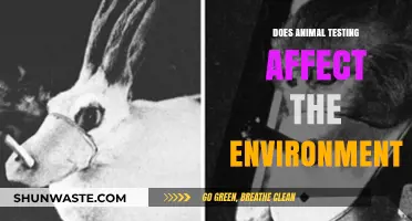 Animal Testing's Environmental Impact: Uncovering the Hidden Ecological Consequences