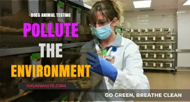 Animal Testing: Environmental Impact and Ethics
