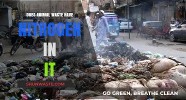 Animal Waste and Nitrogen: Uncovering the Nutrient-Rich Connection