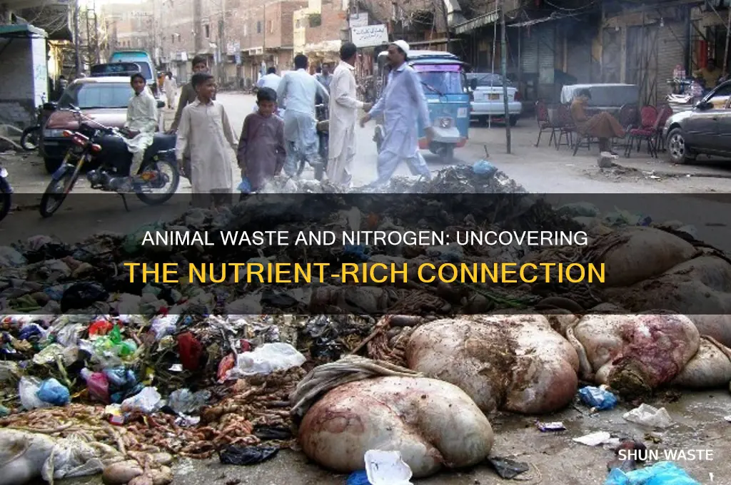 does animal waste have nitrogen in it