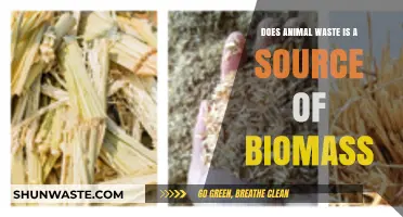Animal Waste as Biomass: Sustainable Energy Source or Myth?