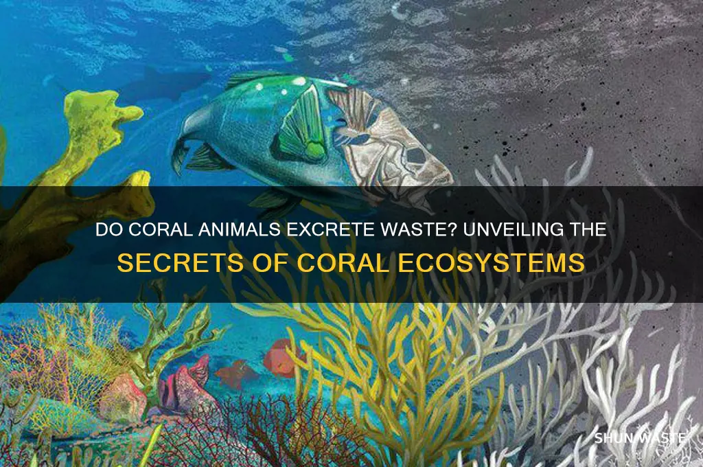 does animals in the coral excrete waste